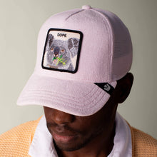 Load image into Gallery viewer, GOORIN BROS - TERRY CLOTH KOALA