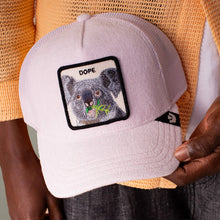 Load image into Gallery viewer, GOORIN BROS - TERRY CLOTH KOALA
