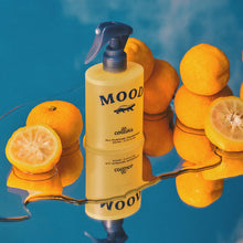 Load image into Gallery viewer, COLLINS MOOD WATER - NAMHAE YUJA