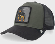 Load image into Gallery viewer, GOORIN BROS - BAD BOY TRUCKER / palm
