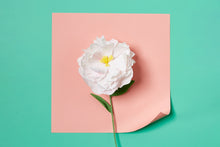 Load image into Gallery viewer, Paper Flower Making Kit
