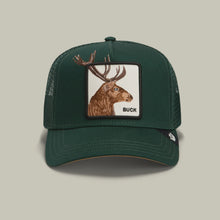 Load image into Gallery viewer, GOORIN BROS - OVER THE LINE BUCK / guard
