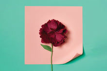 Load image into Gallery viewer, Paper Flower Making Kit
