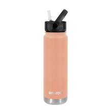 Load image into Gallery viewer, PARGO - 750ml INSULATED DRINK BOTTLE W/STRAW LID
